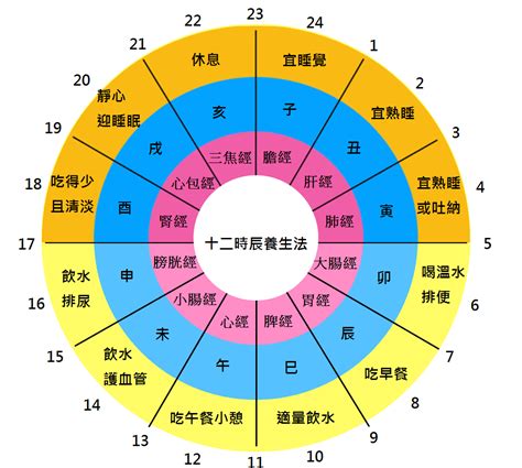 十二時辰經絡表